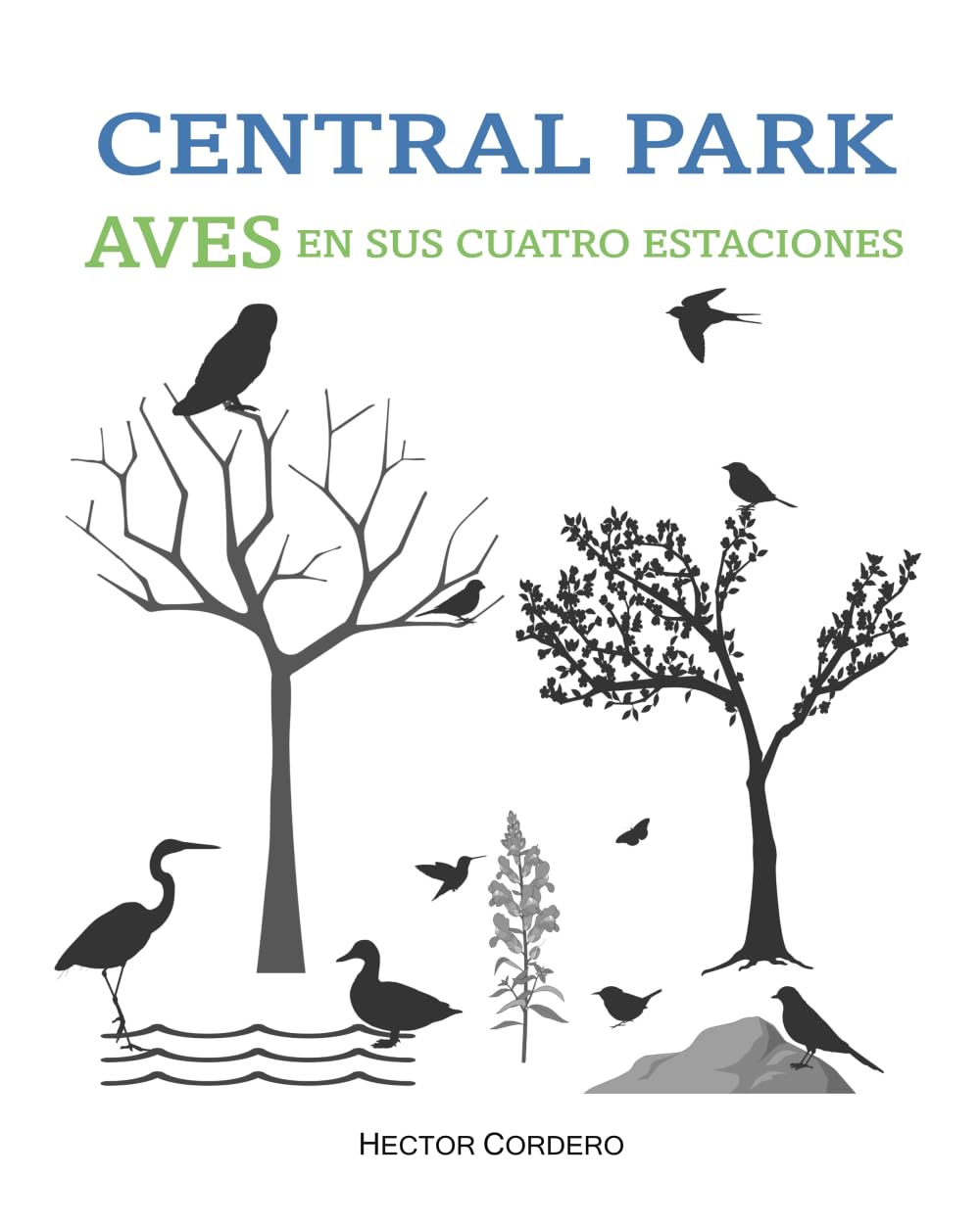 CENTRAL PARK AVES EN SUS CUATRO ESTACIONES: La guía completa y definitiva para conocer la diversidad de aves en el corazón de la ciudad de Nueva York. (Spanish Edition)      Paperback – Large Print, August 29, 2023