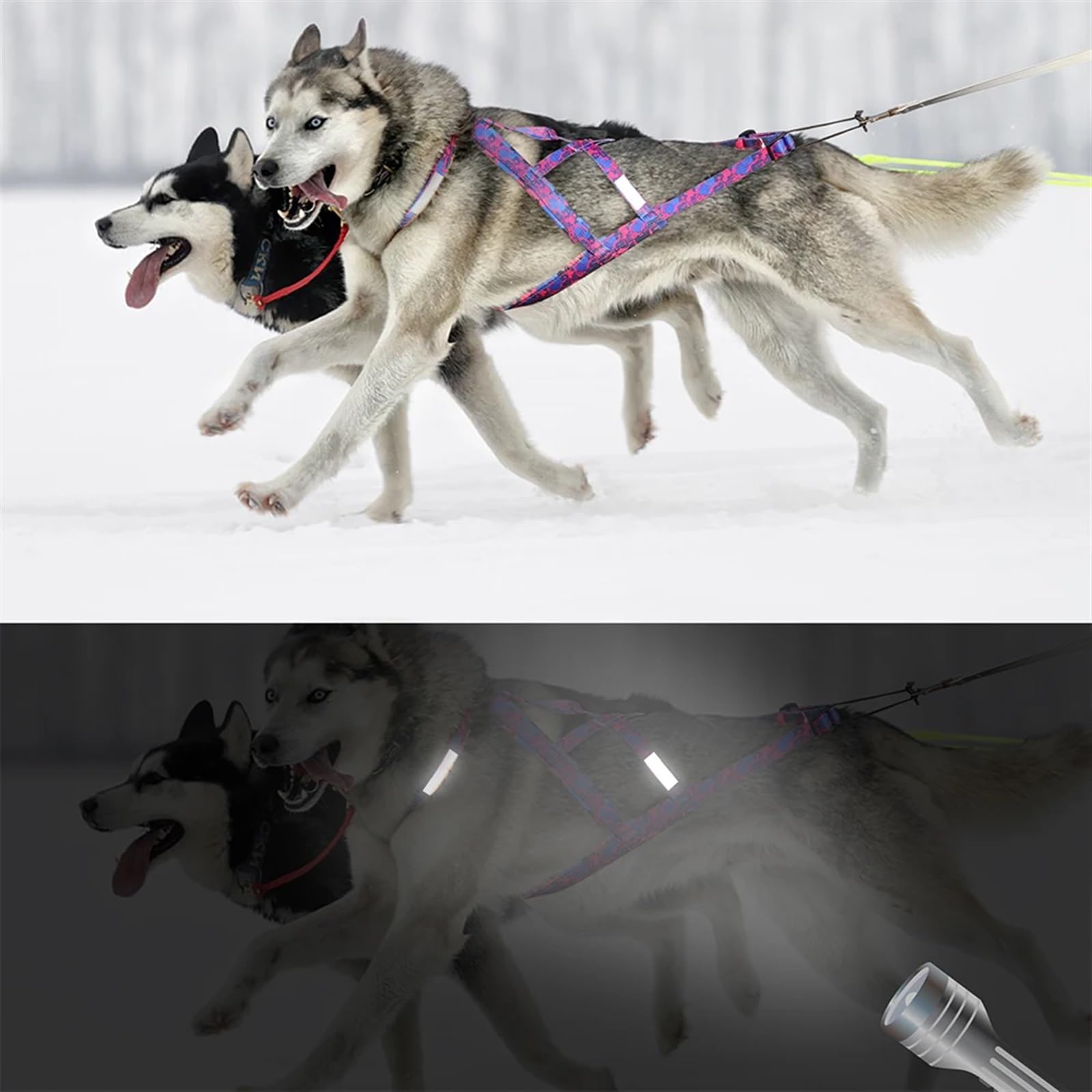 Arnes de Tiro para Perros Arnés reflectante for trineo de perros, ajustable, for perros grandes, con capacidad de tracción, for trineos de mascotas, for perros medianos y grandes, for esquiar y esquia