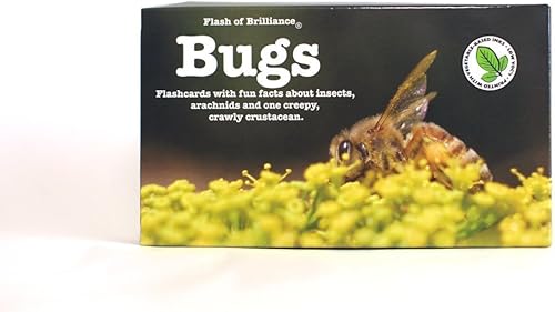 Tarjetas flash de insectos con datos divertidos