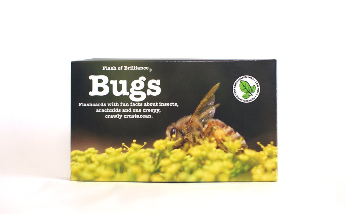 Flash of Brilliance Bug Flash Cards with Fun Facts