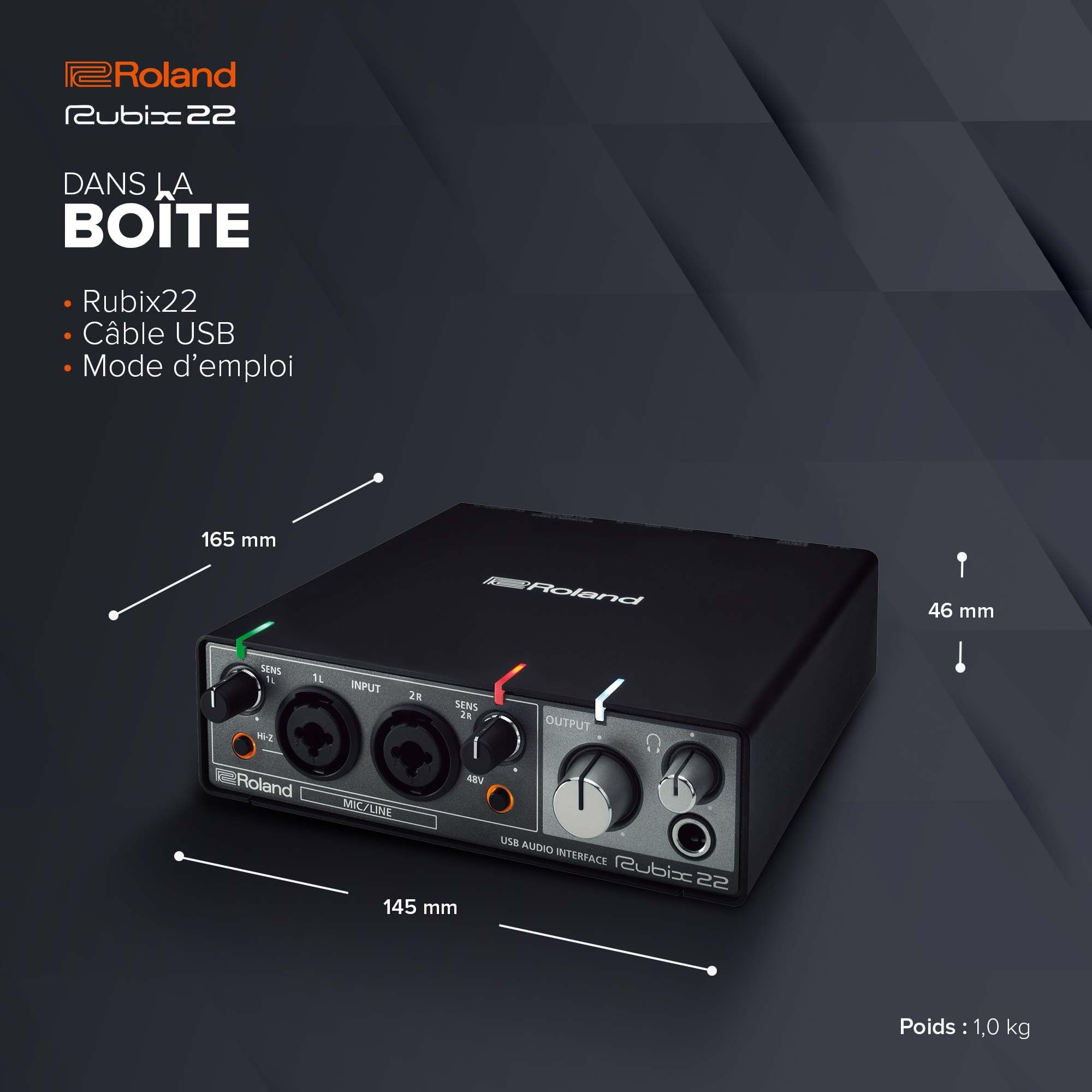 Interface audio USB Roland Rubix22 2 In-2 Out | Son haute résolution | Enregistrement de micros, guitares, claviers et autres | Compacte & robuste | Compatible Mac, PC & iPad