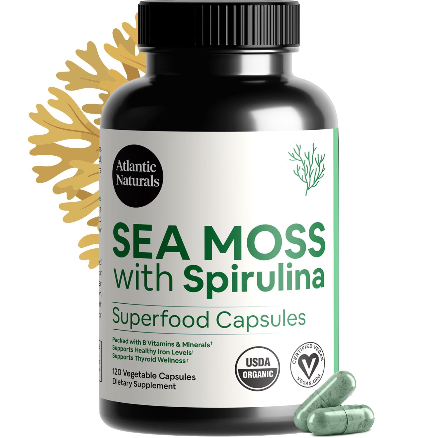 Amazon.com: Atlantic Naturals Sea Moss with Spirulina Superfood