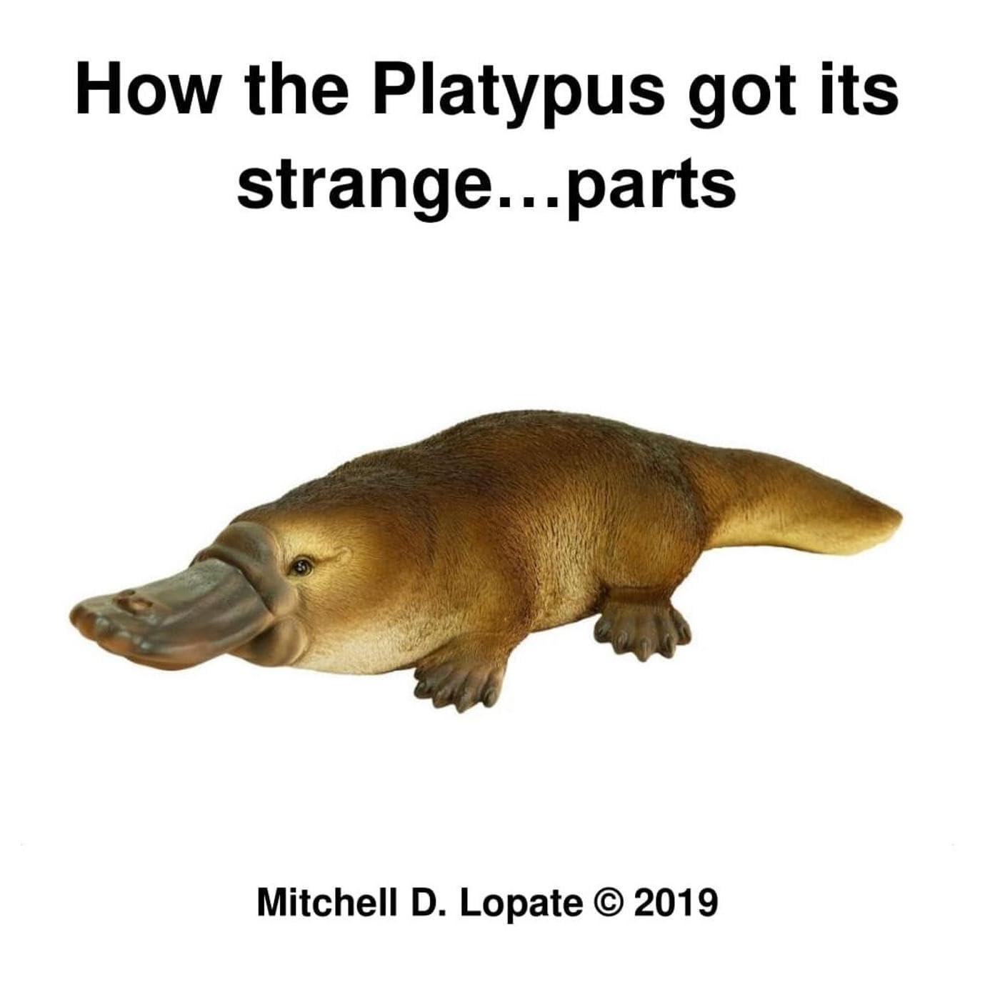 How the Platypus got its Strange...Parts