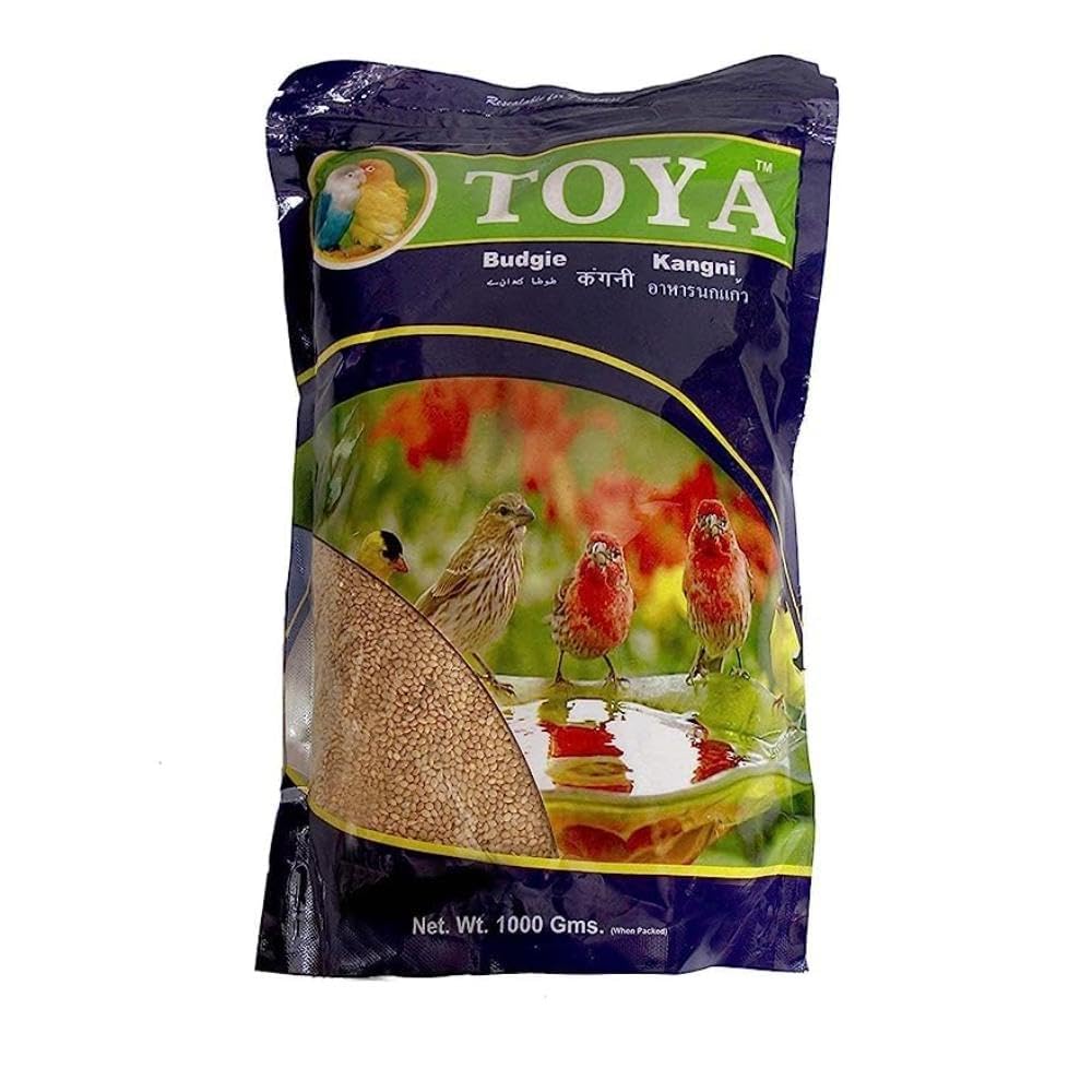 Bird Food Seed Mix for Budgies, Lovebirds, Parrots & Cockatiels | Premium Nutritious Bird Feed | Healthy Daily Diet for Pet Birds-image-2