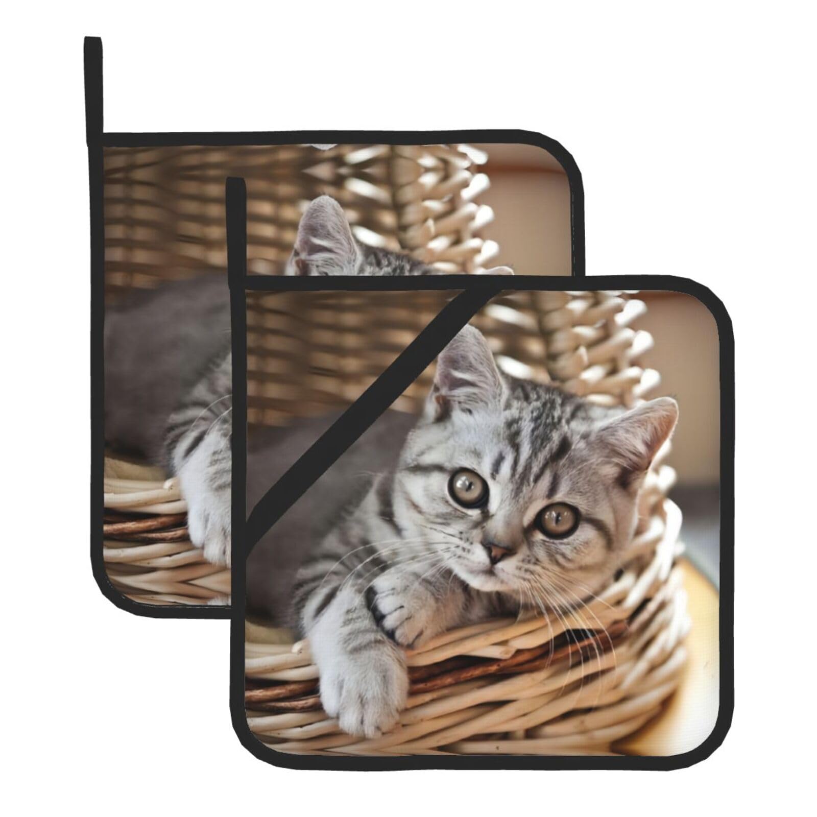 YYHWHJDE Cat Prints Square Hot Pads for Kitchen Counter - Waterproof Pot Holders with Hanging Loop, Durable Trivets for Microwave Oven - 2 Pack