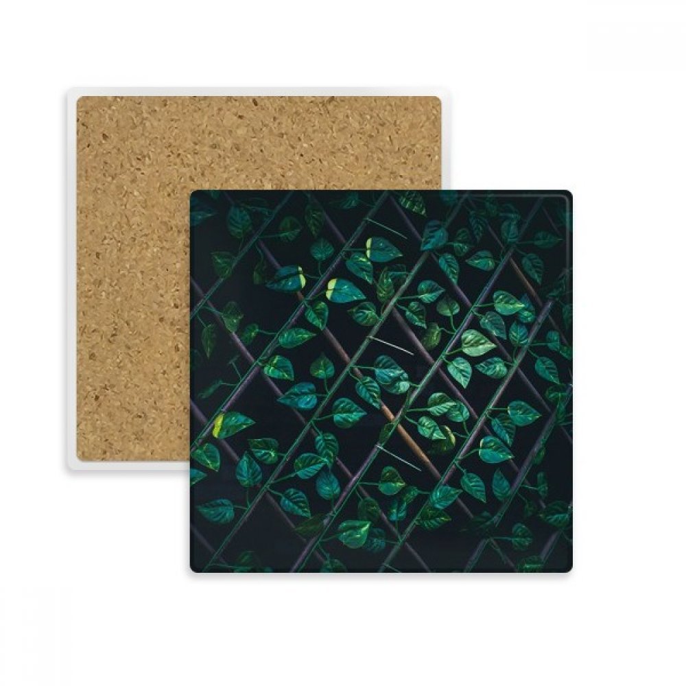 Coupe du coaster carré pierre absorbante avec motif végétal feuille de rosée multicouleur