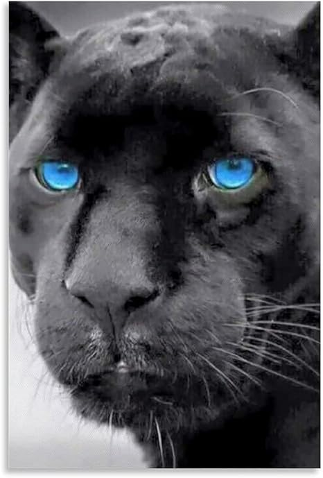 puma negro ojos azules