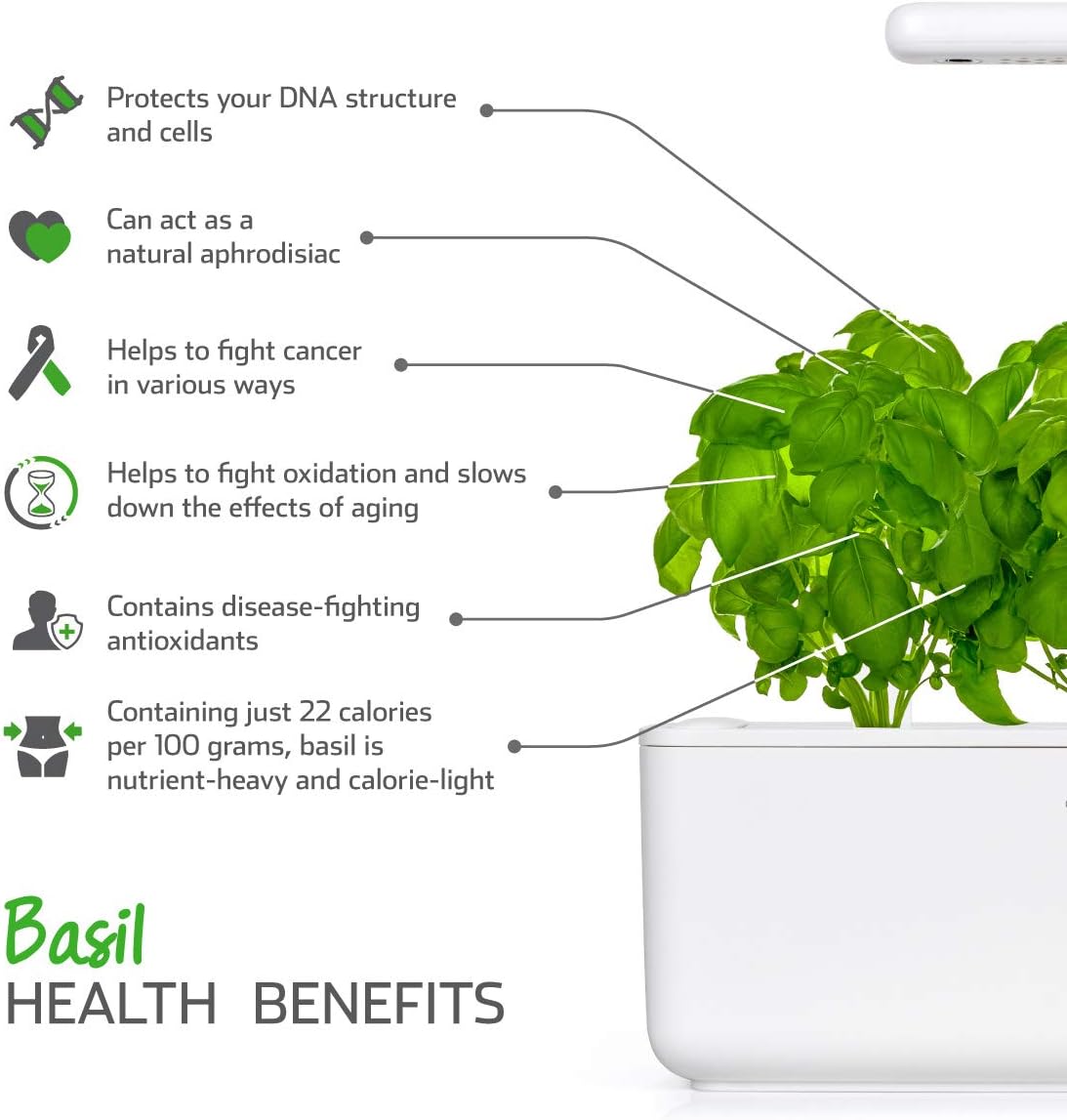 Click and Grow Smart Garden Basil Plant Pods, 3-Pack
