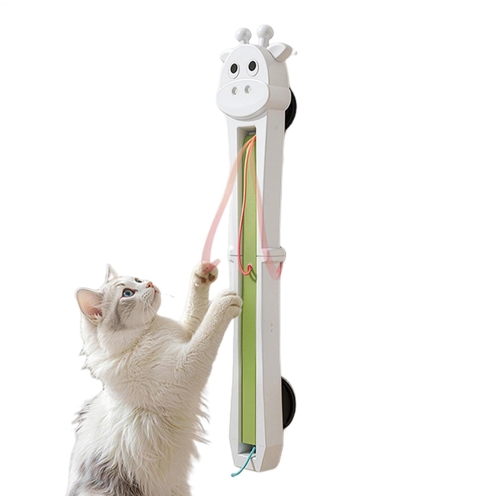 Jouet pour chats d'intérieur pour s'amuser seul sur la porte du salon