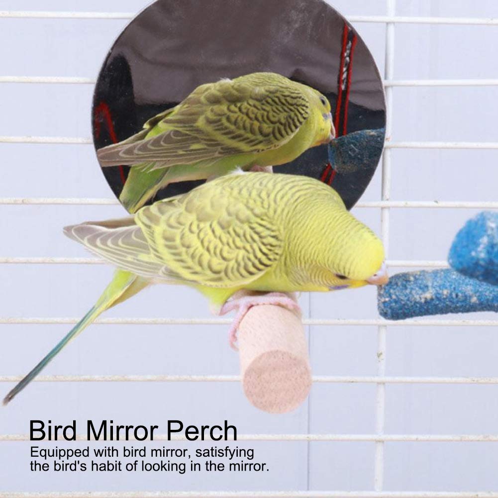 6-in-1 Vogel-Spielzeug-Set – Mit Sitzstangen, Schaukeln, Leiter & Kauspielzeug, Für Kleine & Mittlere Vögel