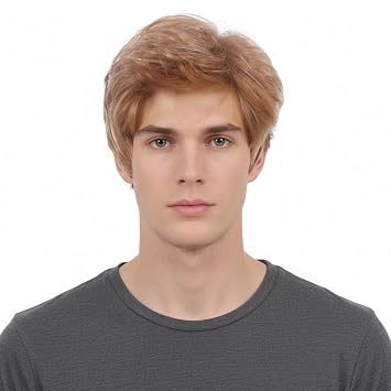 STfantasy Short Wigs for Men Straight Layer Mens Wig Friendly Synthetic Hair for Men Man Male Fancy Dress Costume Cosplay Party Wig Mens Wigs Brown Highlight