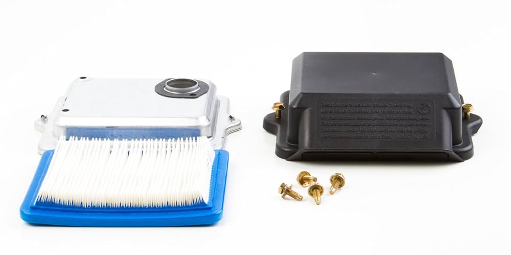 hotaru SYNERGY ALLPURPOSECLEANER1000g×4 XingLi 590399 Carburetor Compatible with Briggs & Stratton