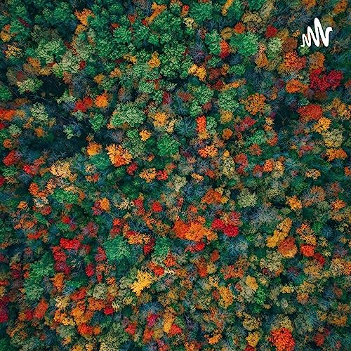 Couverture de 半梦半醒