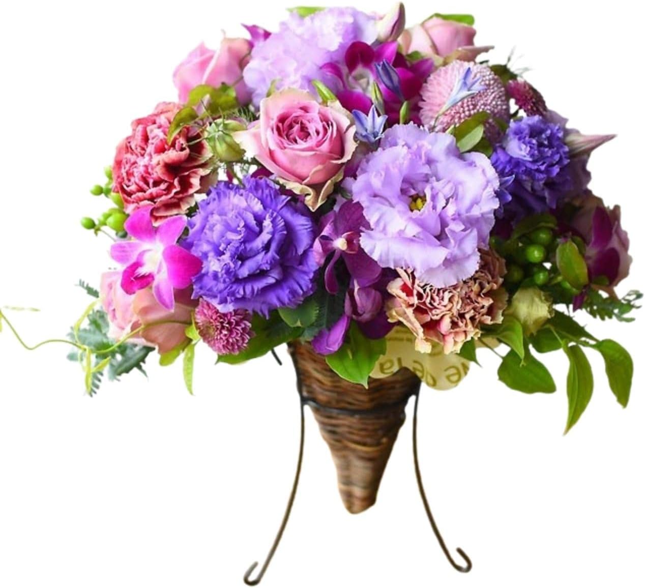 ロホホラ 銀冠玉 実生苗 1トレー サボテン いっぱい