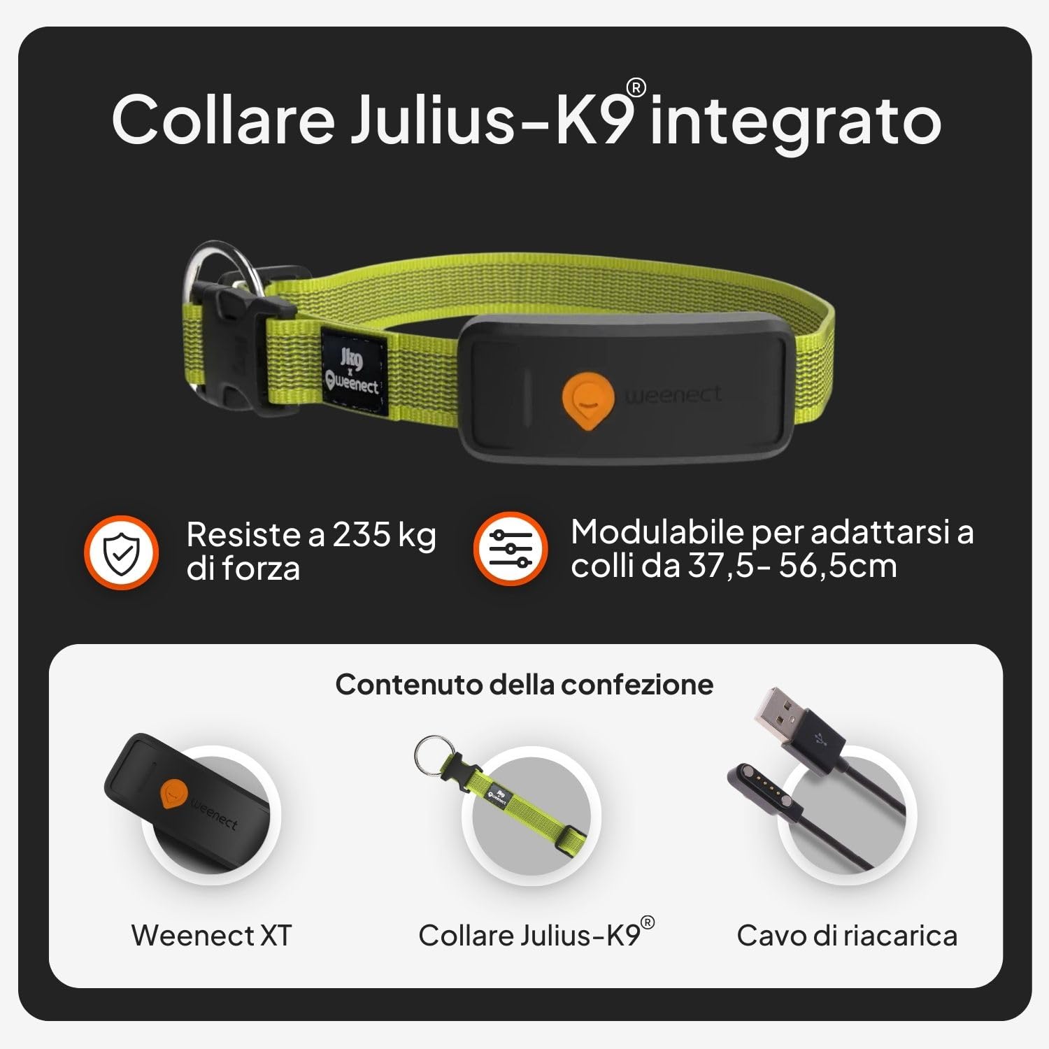 Weenect Dog XT - NUOVO Collare GPS per Cani | Antenna XL | Impermeabile | Collare ultra-resistente integrato Julius-K9 | Garanzia a vita | Abbonamento richiesto (Giallo)