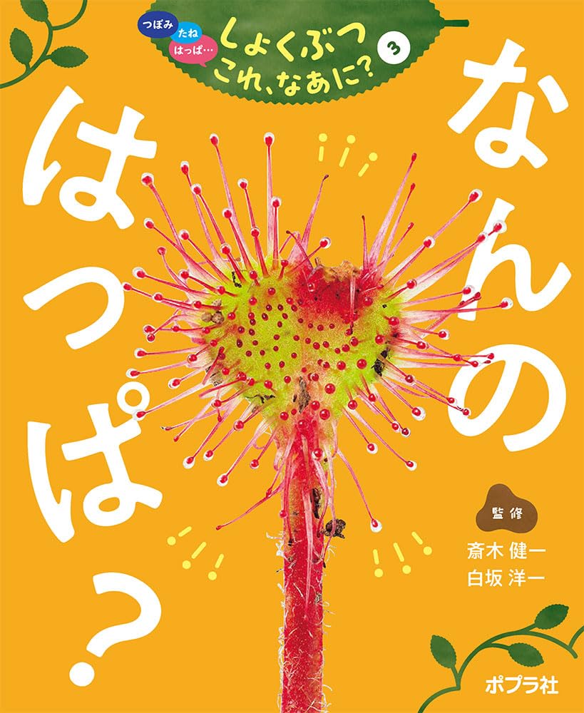 つぼみ・たね・はっぱ・・・しょくぶつ　これ、なあに？（全7巻）（単行本） なんの はっぱ？ (つぼみ・たね・はっぱ・・・しょくぶつこれ、なあに