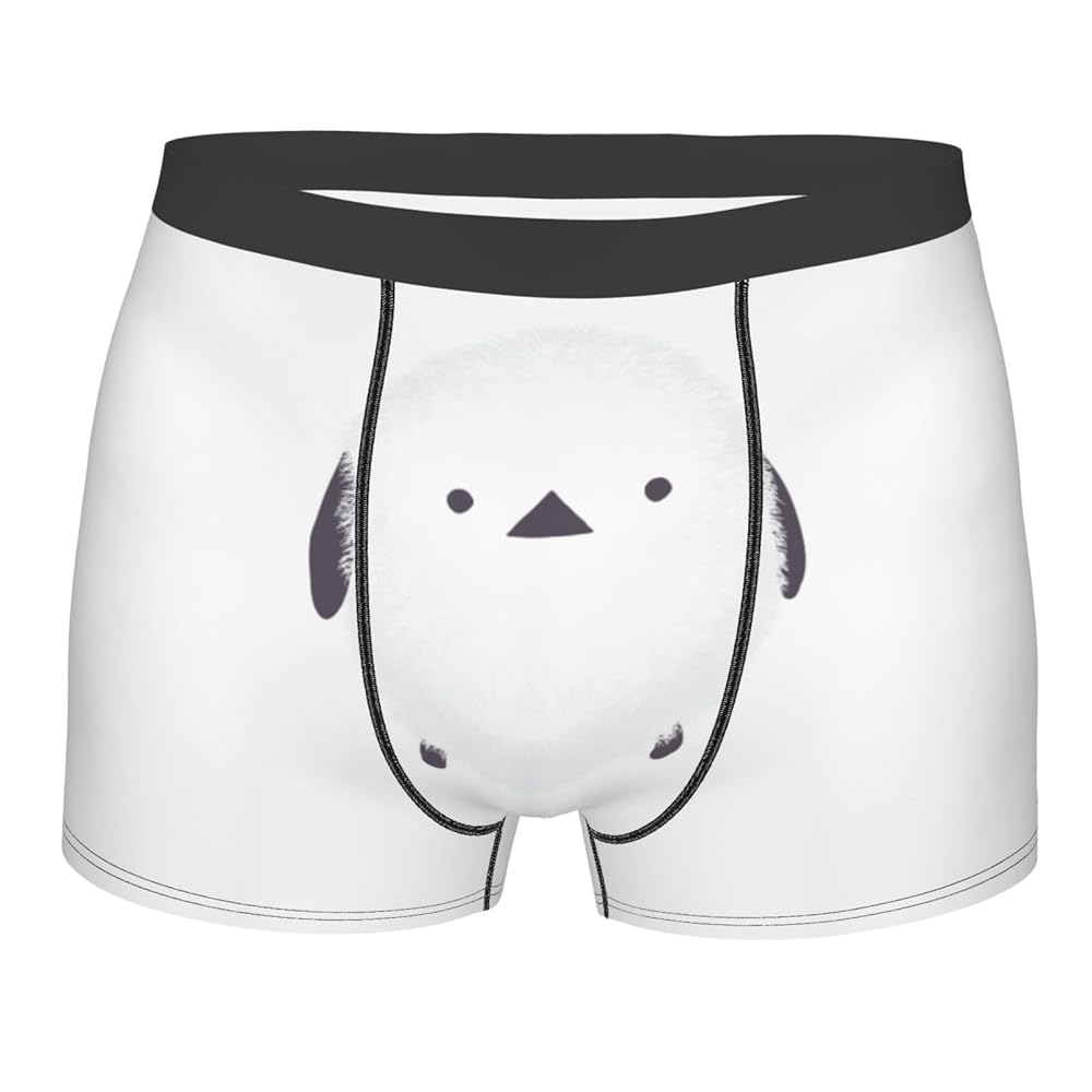 Amazon | [Chioee] ボクサーブリーフ メンズ かわいい