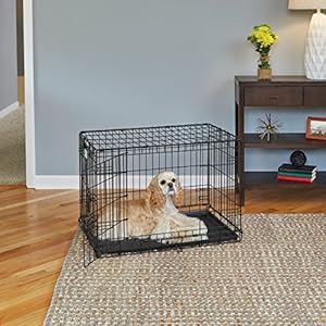 Medium Dog Crate | Midwest Life Stages 30 Double Door Folding Metal Dog Breed Crate | Divider Panel Floor Protecting Feet Dog Pan | 306l X 193w X 214h Inches Cucciolini Doodles Medium dog crate | midwest life stages 30 double door folding metal dog breed crate | divider panel floor protecting feet dog pan | 30 6l x 19 3w x 21 4h inches cucciolini doodles