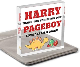 Dinosaur Gifts For Page Boy Ring Security Ring Bearer Usher Best Man Groomsman, PERSONALISED Pageboy Dino Wedding Gifts, Page Boy Thank You Keepsake, Gifts From Bride and Groom, With Grey Bag