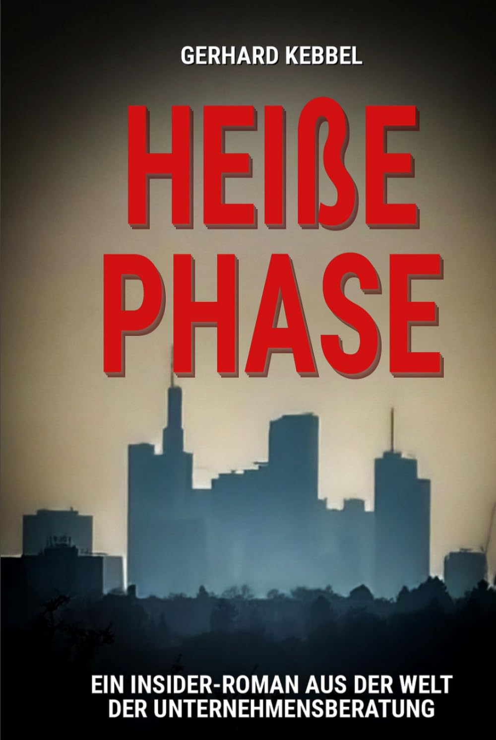 Heiße Phase: Ein Insider-Roman aus der Welt der Unternehmensberatung