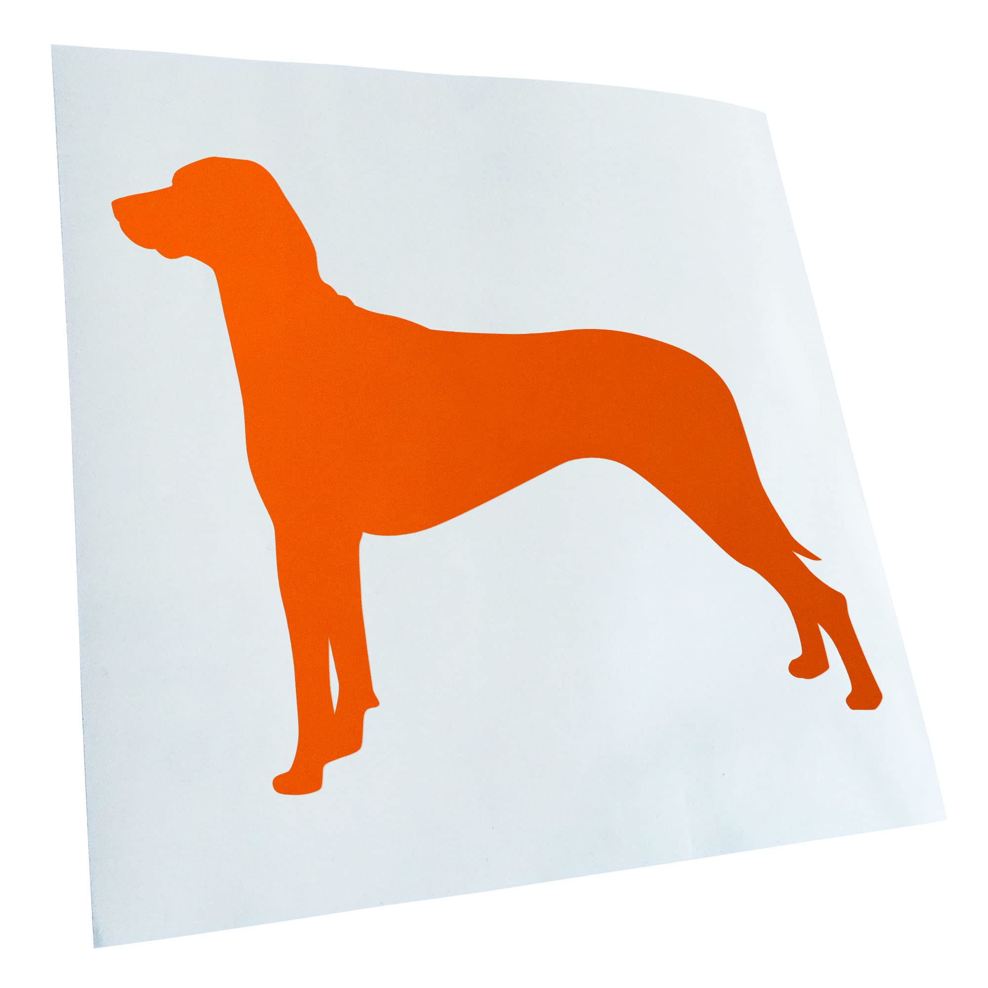 Kiwistar - Car Sticker - Orange - 50 x 41 cm Ridgeback Rhodesian Dog - Rear Window Car Sticker Weatherproof for Car Truck Moped Truck - Sticker Exterior Self-Adhesive Tuning Accessories for Window