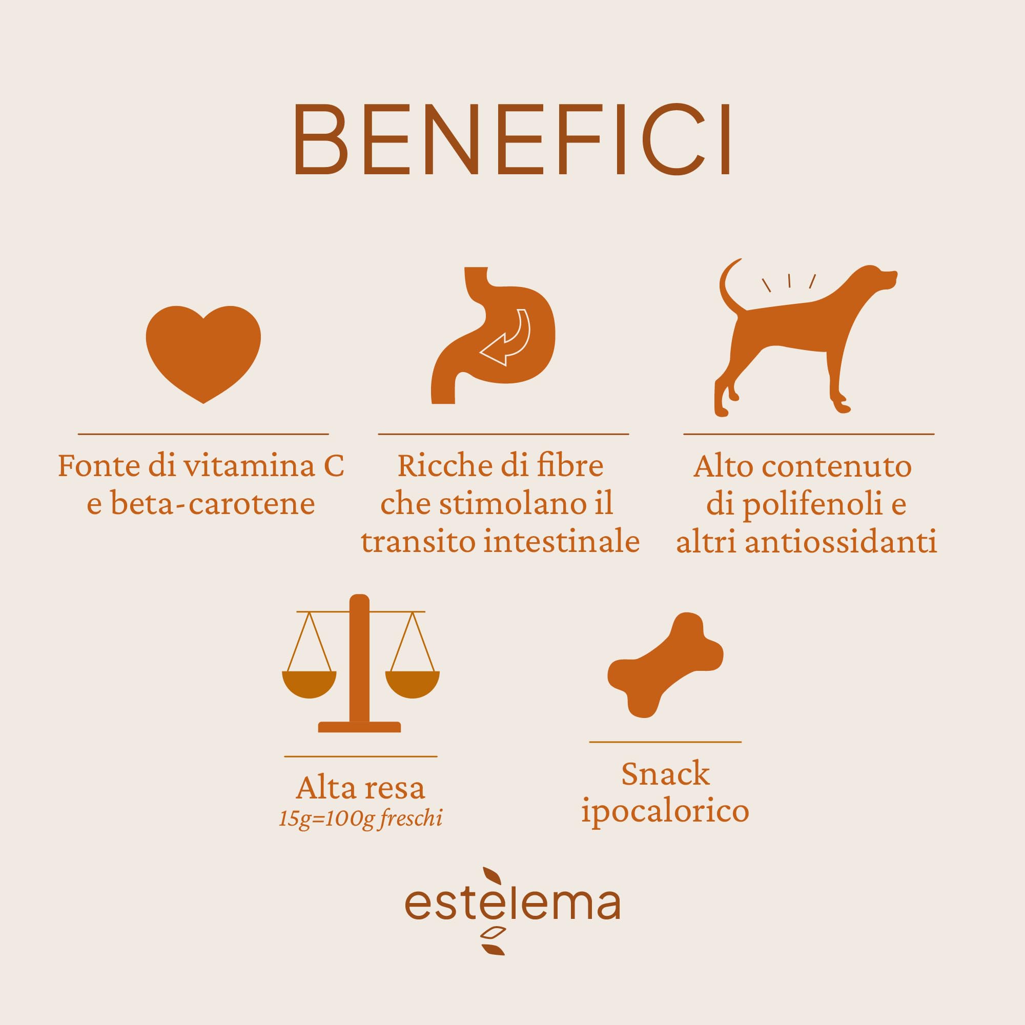 Carote Disidratate a pezzi per Cani 400g | 100% Naturali, Senza Additivi | Snack e Integrazione Dieta Casalinga BARF | 15 g ≈ 100 g Carote Fresche