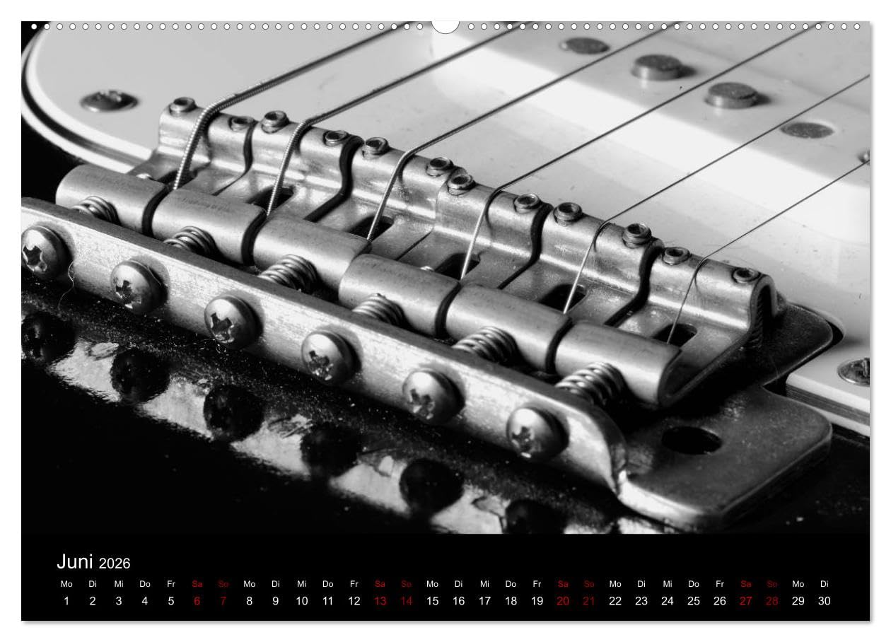 Regelwerke - Details alter E-Gitarren (hochwertiger Premium Wandkalender 2026 DIN A2 quer), Kunstdruck in Hochglanz: Alte E-Gitarrendetails eindrucksvoll in s/w fotografiert (CALVENDO Kunst)