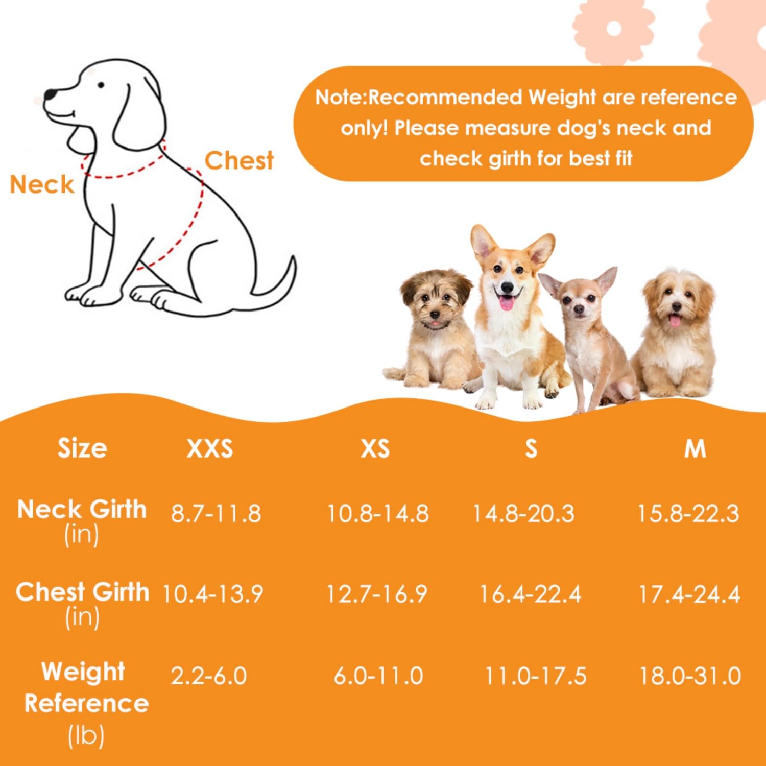 SlowTon No Pull Dog Harness with Leash - Adjustable Breathable Puppy Harness, Reflective Pet Harness for Small Medium Dogs Outdoor Walking Training - Image 2