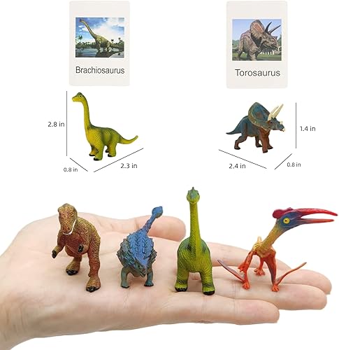 Miniatura 2 de MIKNEKE Mini figuras de dinosaurio con tarjetas flash, figuras de animales realistas, materiales Montessori, educación en casa, preescolar, ciencia,