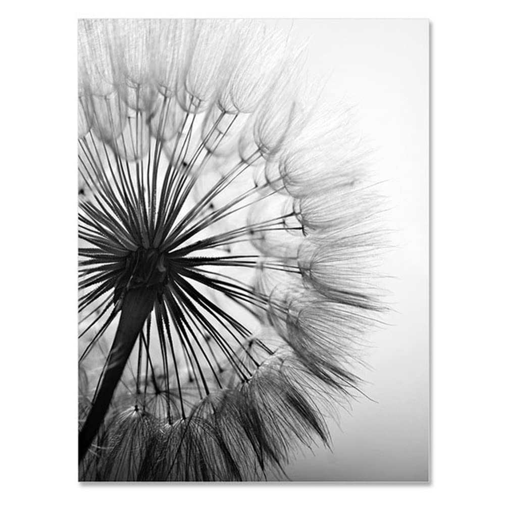 FSLEOVN 3 Pezzi Moderno Quadro su Tela Stampa su Tela Fiori di Dente di Leone Poster Nero Bianco Fiori di Dente di Leone Tela Estetica Poster Senza Cornice (50x70cm)