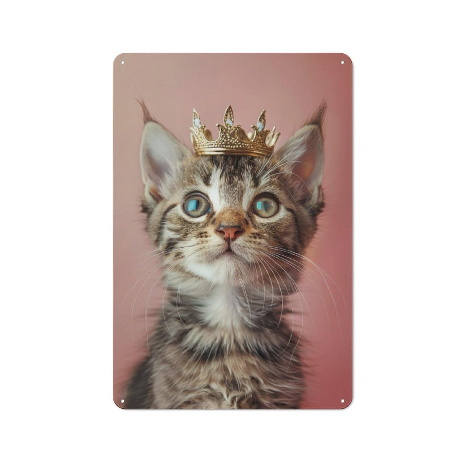 Junmoney Cute Cat Pastel Crown Printed Metal Sign 30X20cm For Hobby Room Or Studio, For Creative Interior Collectors