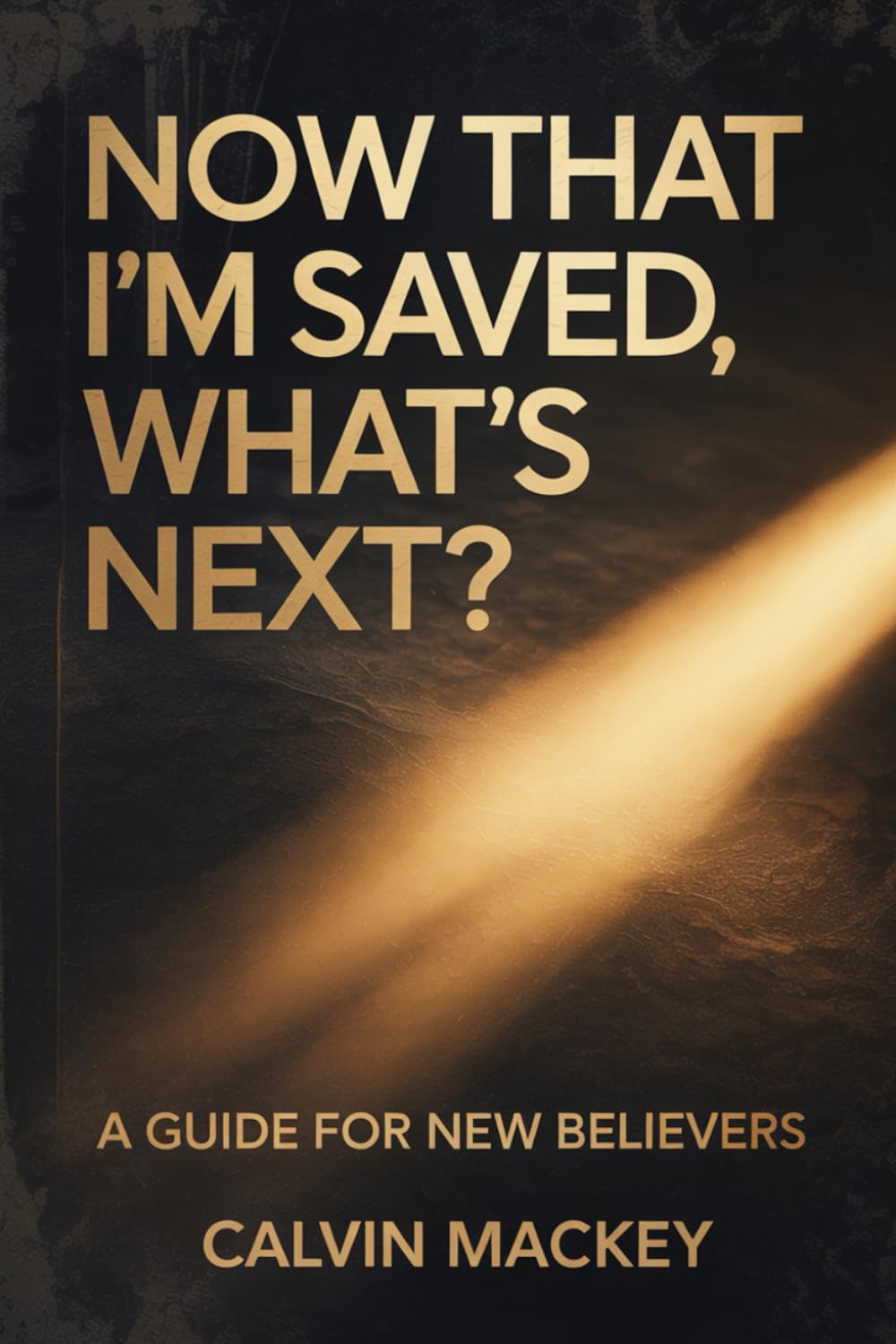Now That I’m Saved, What’s Next?: A Guide for New Believers