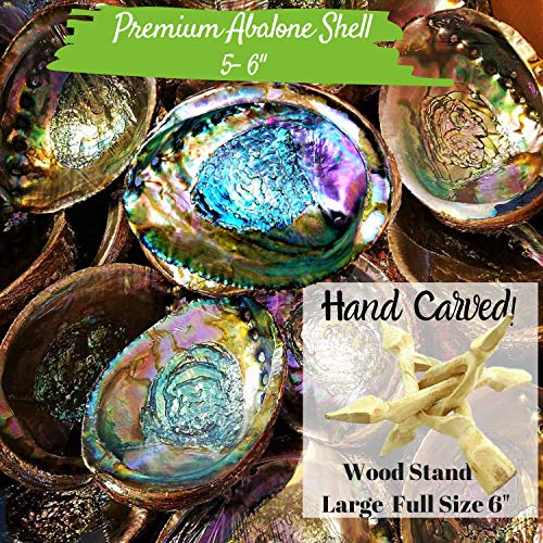 Smudge Kit Spiritual Native 12 Healing Gifts Set, Smudging Kit, Dream Catcher Home Blessing Sage Kit, Abalone, White & Blue Sage Bundles, Incense Burning Kit, Smudge Feather, Cleansing Ritual