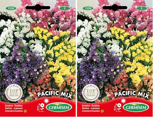 Germisem Pacific Mix Semillas de Statice 0.5 g (EC1550) (Paquete de 2)