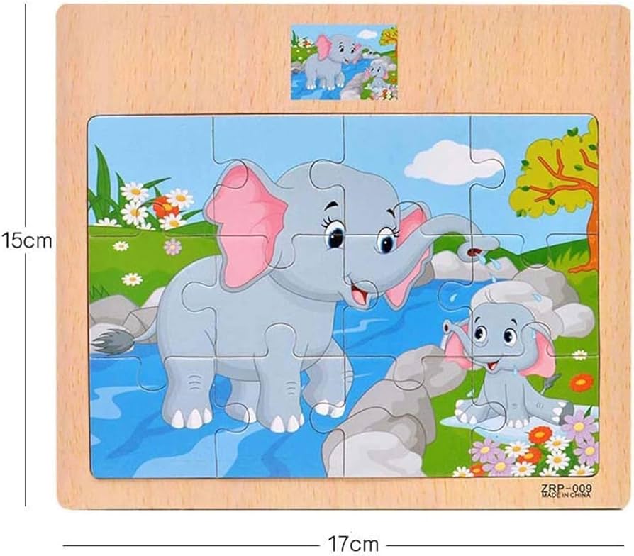 Amazon.com: CCLIFE Wooden Jigsaw Puzzles Set for Kids 2-5 Years 12
