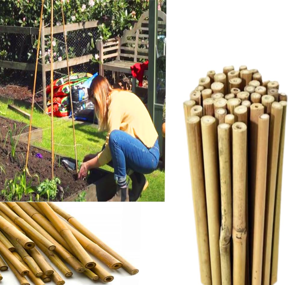 Bamboo Garden Canes - Bamboo Garden Stakes, 2FT 3FT 4FT 5FT 6FT 7FT, Mulitple Packs, Strong, Flexible, and Versatile Plant Support Thick Quality Green Sticks (5FT X 30)