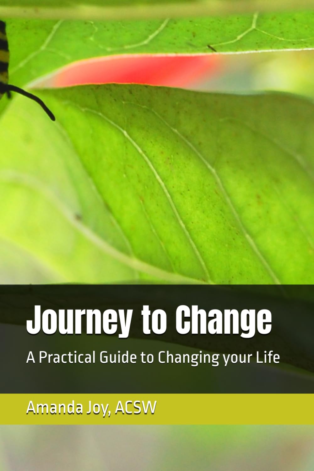 Journey to Change: A Practical Guide to Changing your Life