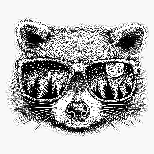 MAGNET Moonglasses Raccoon Magnetic Vinyl Sticker Decal Magnet 5