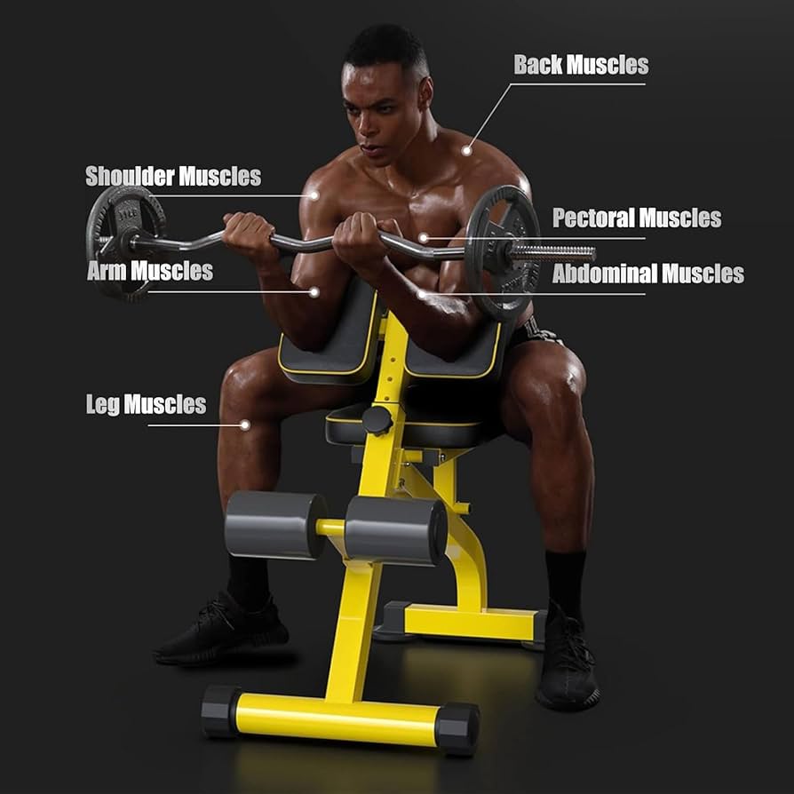 トレーニングベンチ【最新進化版】マルチシットアップベンチ 折り畳み Amazon.co.jp: トレーニングベンチ マルチシットアップベンチ