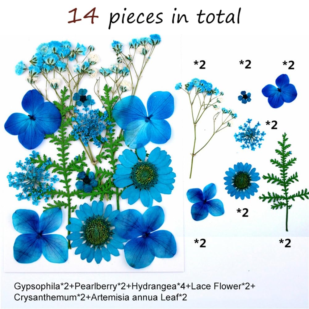 Dried Pressed Flowers for Resin Molds,Real Natural Pressed Flowers for DIY Art Crafts,Candle Making, Nails Décor,Soap Making, Phone Case Plant Specimens for DIY Crafts Scrapbooking Style 9