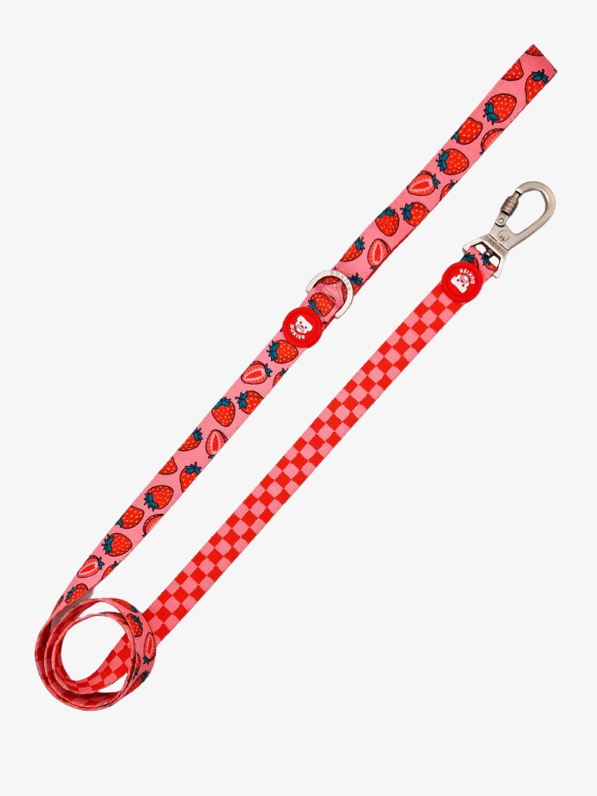 DUKIER - Long Heavy Duty Neoprene Dog Leash with Safety Carabiner, Berry Love Design, Size L — image 1