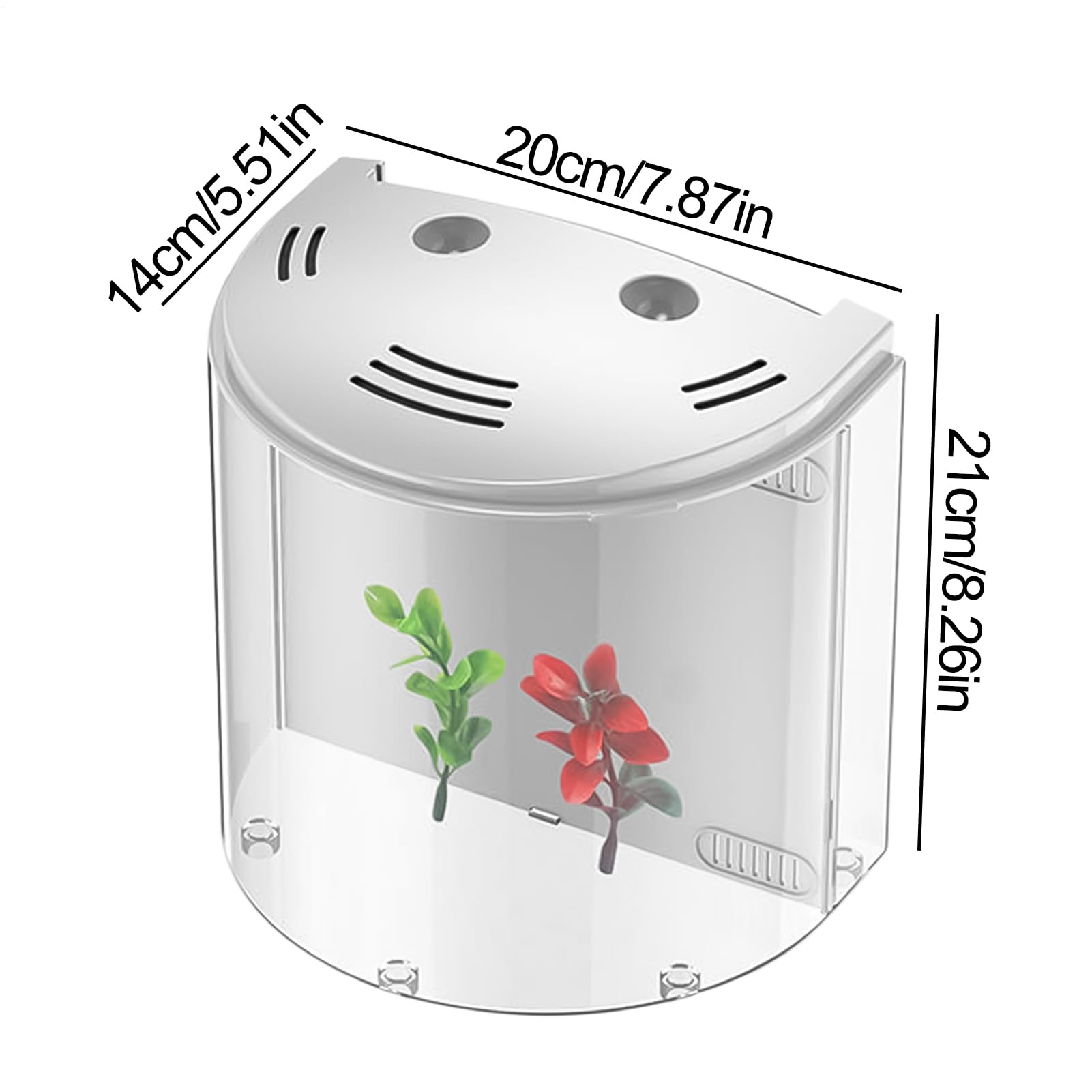 Mini Aquarium de Bureau - avec Pompe à Eau - 2 l - Espace de Vie | transparent pour étoiles de mer, escargots et animaux aquatiques - Gain de place - Pour la maison, le bureau et le bureau