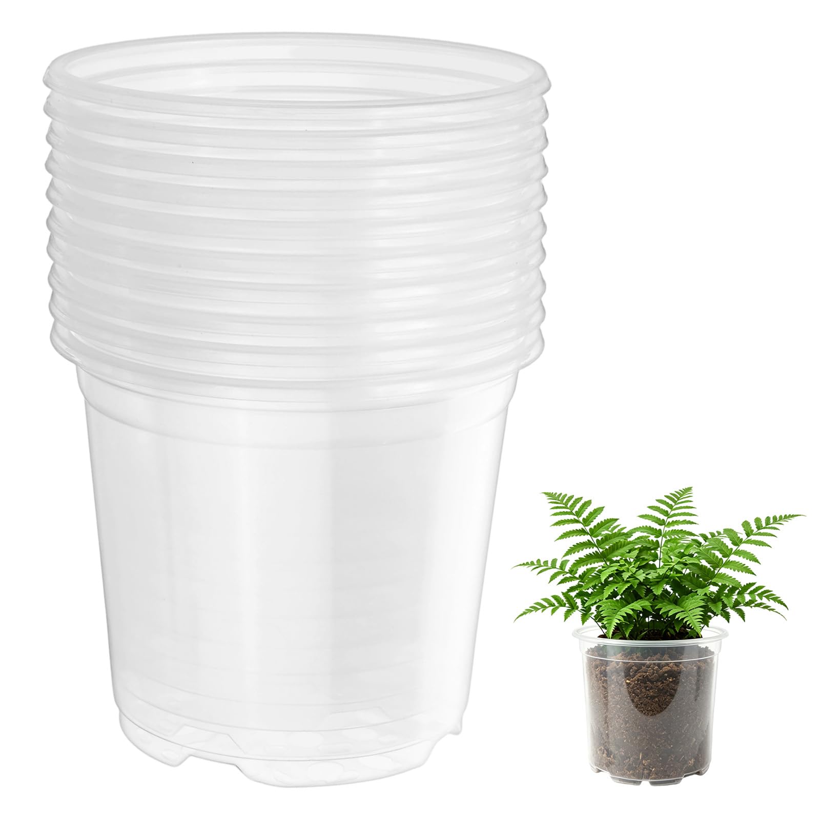M METERXITY 10 Pack Clear Nursery Pots with Drainage Holes, Sturdy Plastic Seedling Starter Pots for Plants, Vegetable, Succulent, Propagation, Root Cutting, Seed Starting [5'' x 4'']