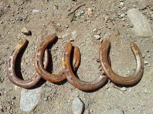 Used Horseshoes