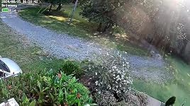 Review Image by MikeS