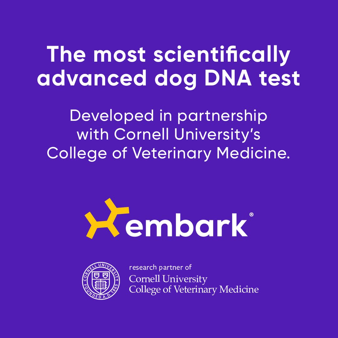 Embark Dog DNA Test Kit Breed & Ancestry Discovery Trait
