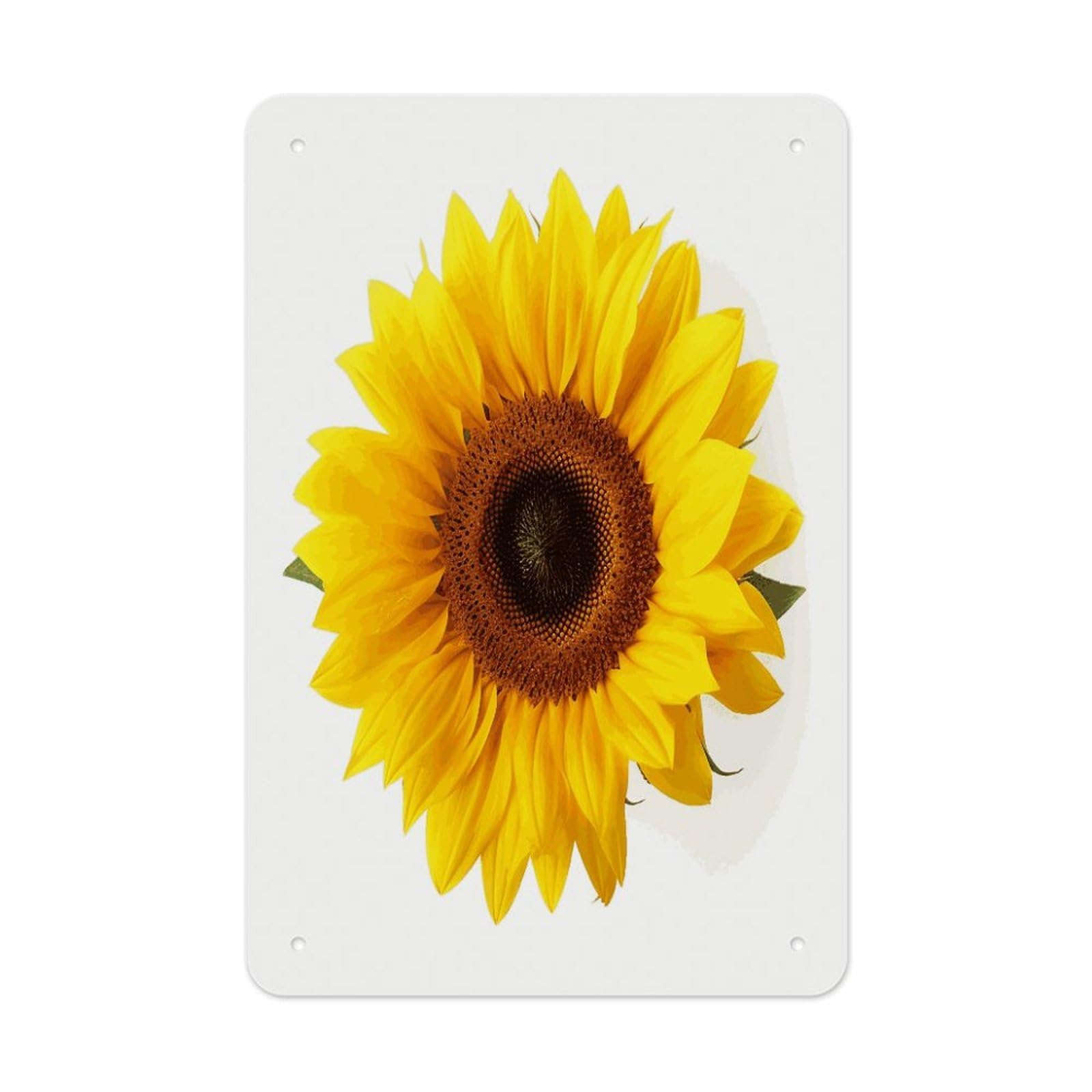 LDGSUPH Sunflower Isolated Wall Art Prints Folded Edge Iron Sheet Painting with Holes for Wall Prints Decorative Picture Metal Signboard Decor Painting for Outdoor Indoor Wall Decor