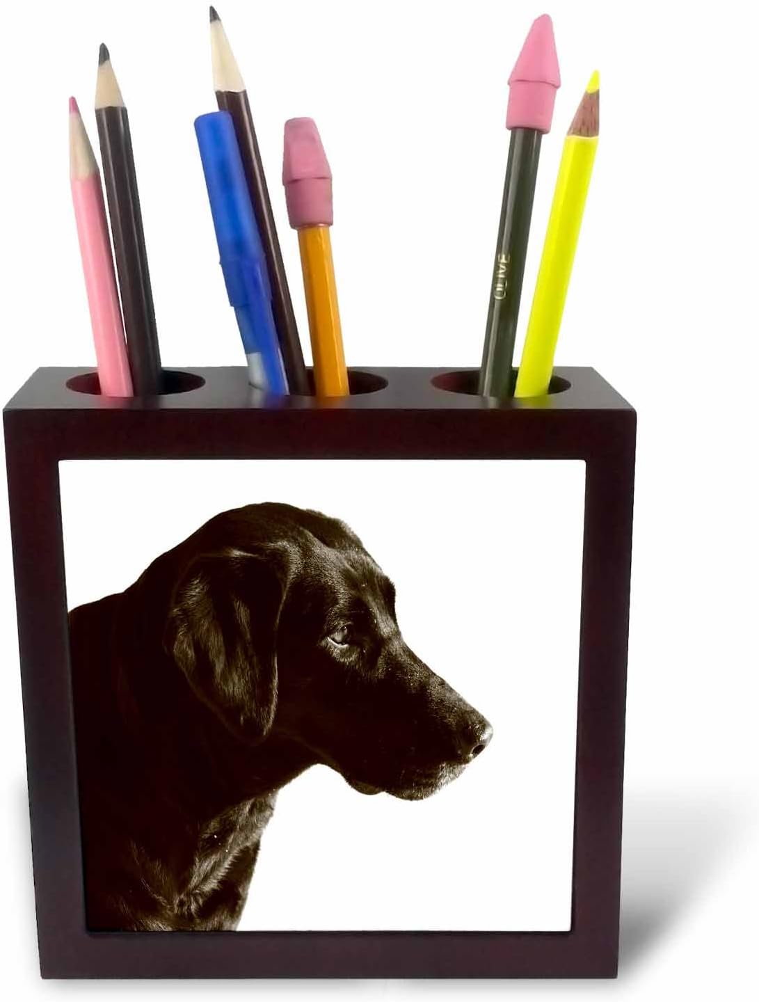 3dRose ph_203710_1 5-Inch Print of Chocolate Lab Portrait Tile Pen Holder