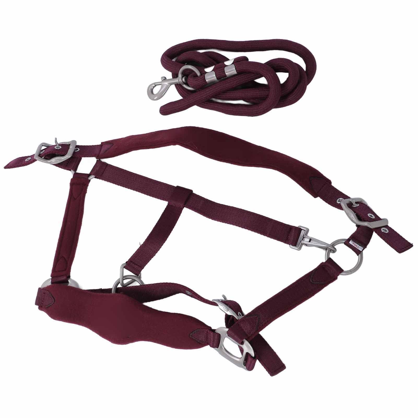 Cabestro para Caballos, Acolchado Ajustable de Poliéster, Juegos de Cabestro y Cuerda de Plomo Antifricción para Caballos, y Cuerda de Plomo para con Correa de 2 M para Entrenamiento Uso
