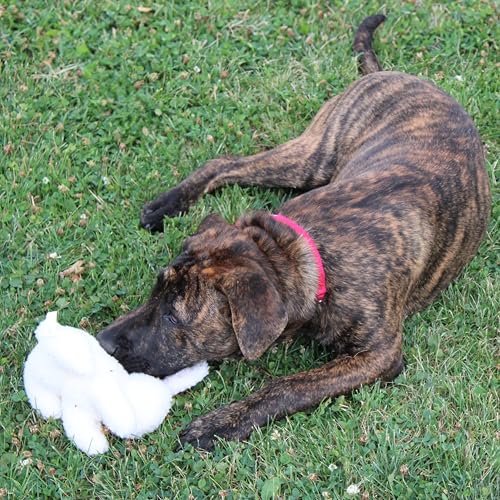 SPOT Vermont Style Fleece Rabbit Dog Toy - Soft Squeaky Plush Comfort Toy for Small & Medium Dogs and Puppies, Ideal for Light Chewers - 6in - Thumbnail 5